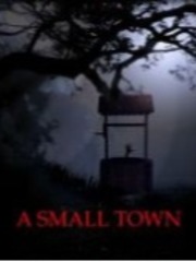 A Small Town Book