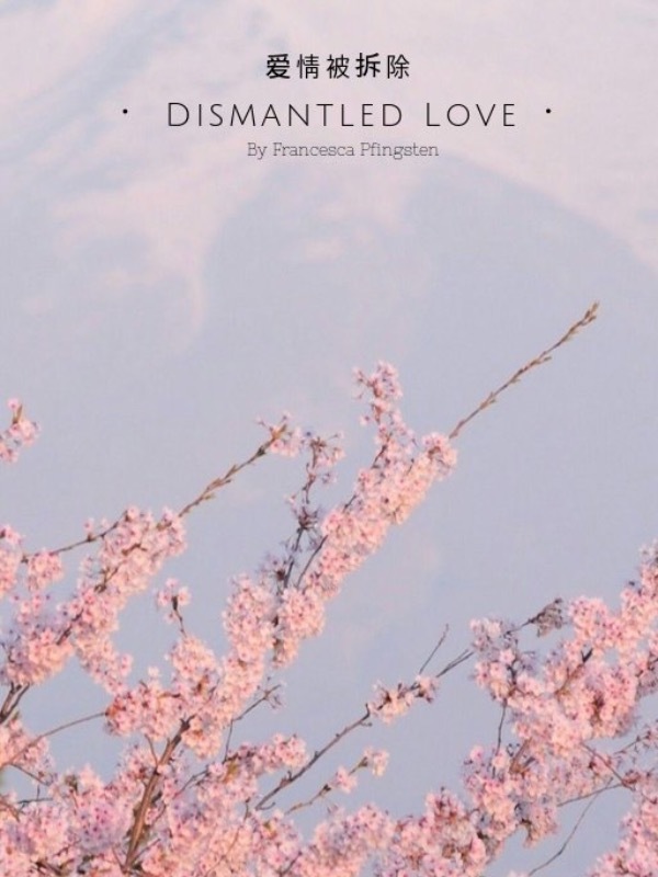 Dismantled Love Book