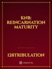 Knb: Reincarnation Maturity Book