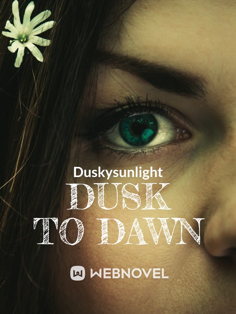 Dusk to Dawn Book