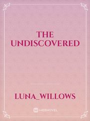 The undiscovered Book
