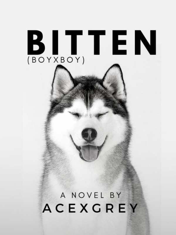 BITTEN (BxB) Book