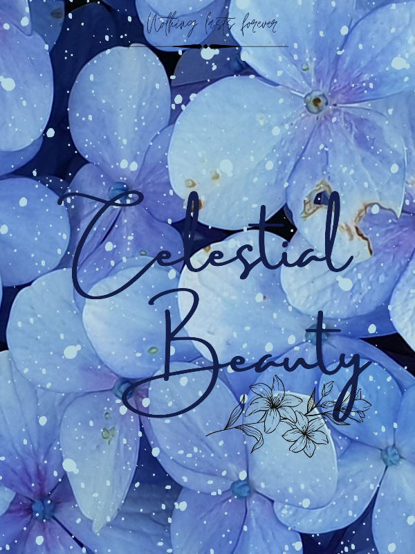 Celestial Beauty Book