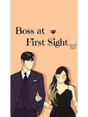 Boss at First Sight Book