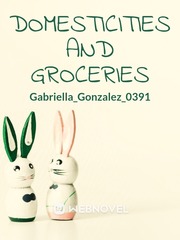 Domecsticities and Groceries Book