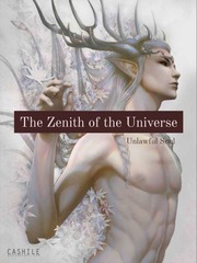 The Zenith of the Universe Book