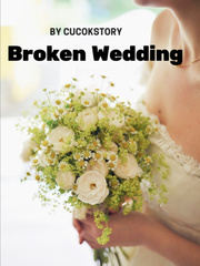 Broken wedding Book