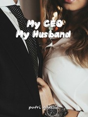 MY CEO MY HUSBAND Book