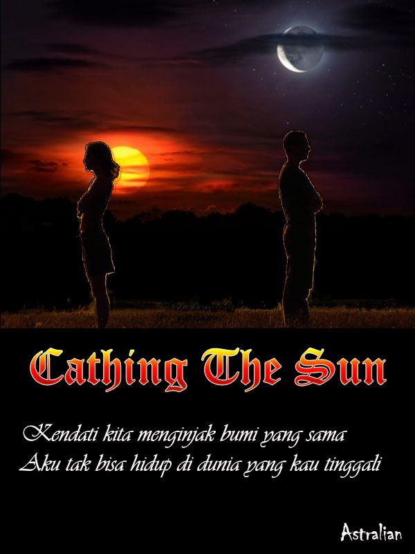 Catching The Sun Book