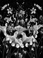 Dark Wildflowers Book