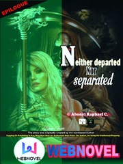 Neither Departed nor Separated Book