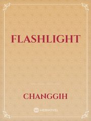 flashlight Book