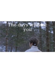 Days without you Book