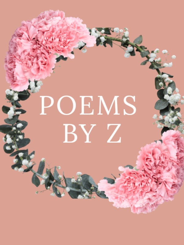Poems By Z Book