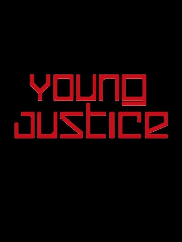 Young Justice Book