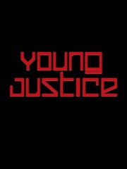 Young Justice Book