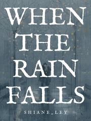 When The Rain Falls Book