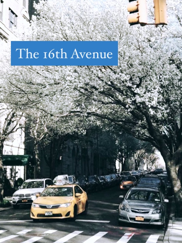 The 16th Avenue