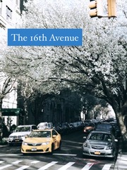 The 16th Avenue Book