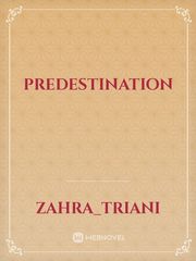Predestination Book