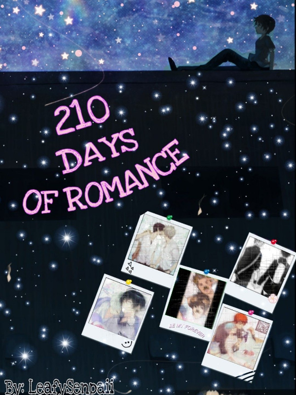 210 Days Of Romance (BL) Book