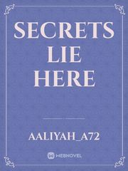 Secrets Lie Here Book