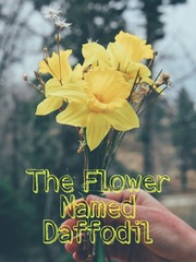 The Flower Named Daffodil Book