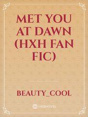 Met You At Dawn (hxh fan Fic) Book