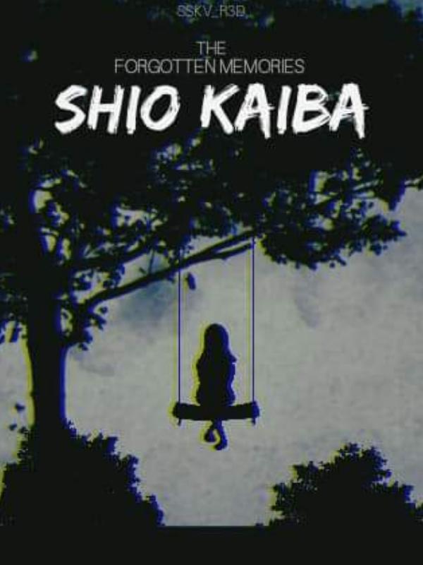 THE FORGOTTEN MEMORIES: SHIO KAIBA Book