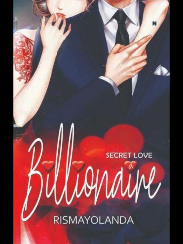 Secret Love Billionaire