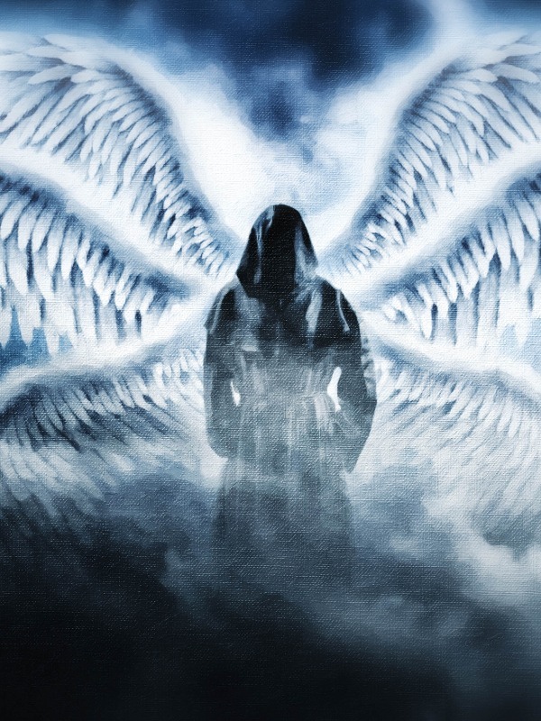 The Seraphim is Among You (Hiatus life is calling)
