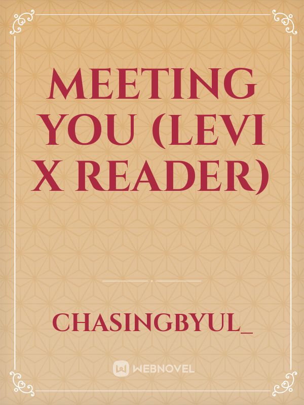 Meeting you (Levi x reader)