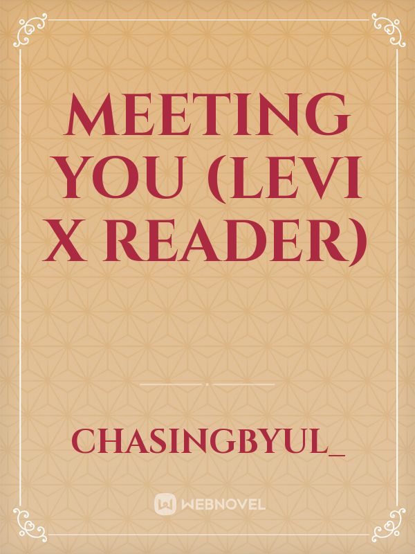 Meeting you (Levi x reader) Book
