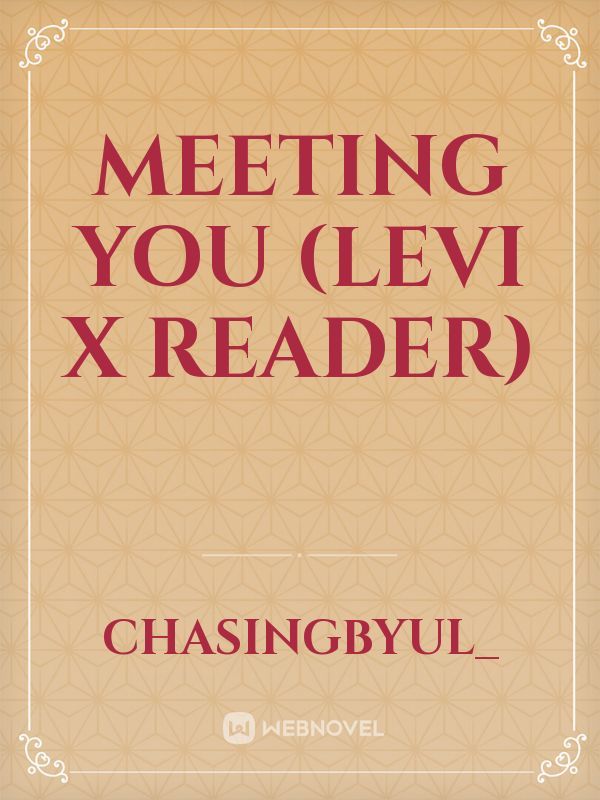 Meeting you (Levi x reader)