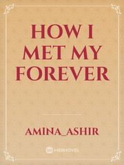 HOW I MET MY FOREVER Book