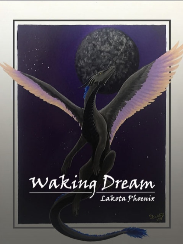 Waking Dream Book