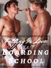 Falling In Love At A Boarding School Book