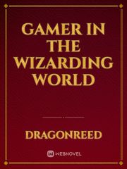 Gamer In The Wizarding World Book