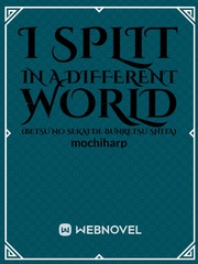 I Split in a Different World (Betsu no sekai de bunretsu shita) Book