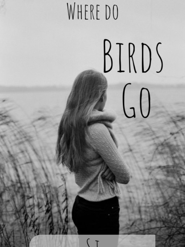 Where do birds go? Book