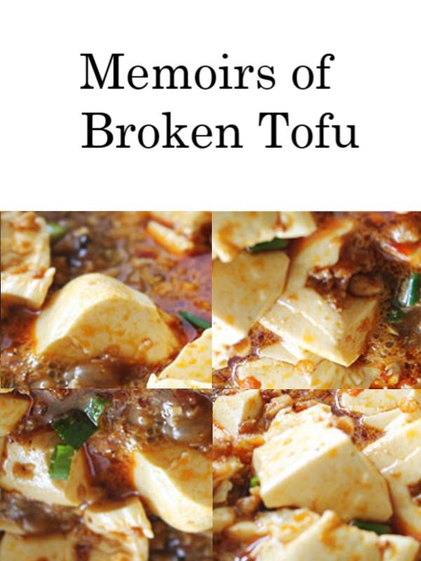 Memoirs of Broken Tofu (completed) Book