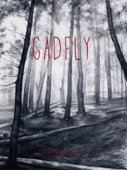 Gadfly Book
