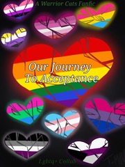 Our Journey To Acceptance Book