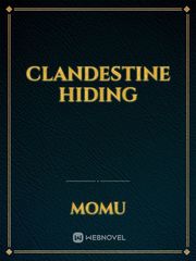 CLANDESTINE HIDING Book