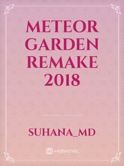 Meteor Garden remake 2018 Book