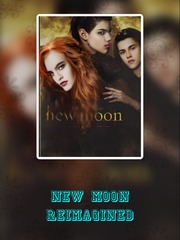 new moon reimagined Book