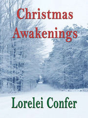 Christmas Awakenings Book