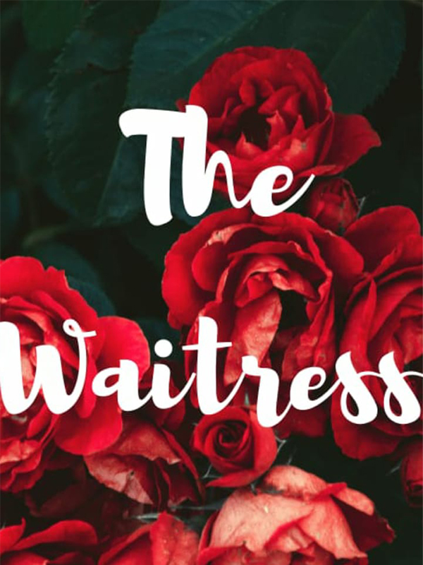 The Waitress Book