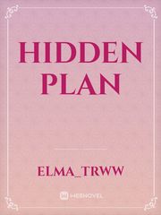 Hidden plan Book