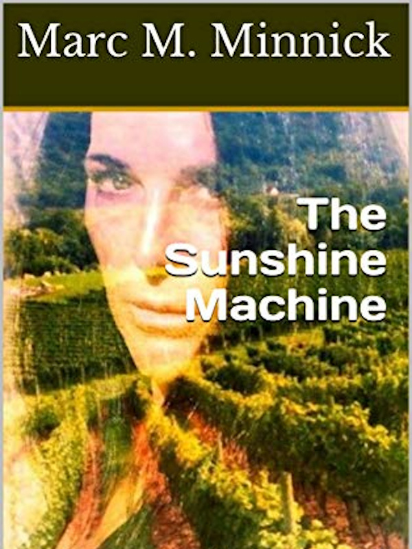 The Sunshine Trilogy Book